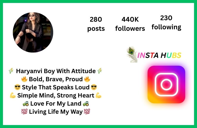 Instagram Bio For Haryanvi Boy