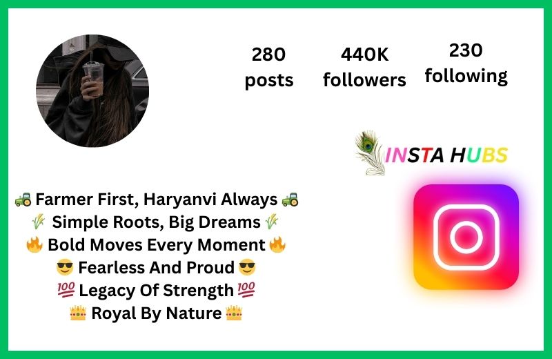 Instagram Bio For Haryanvi Girl