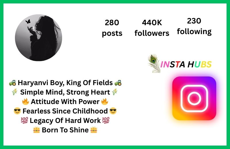 Instagram Bio For Haryanvi