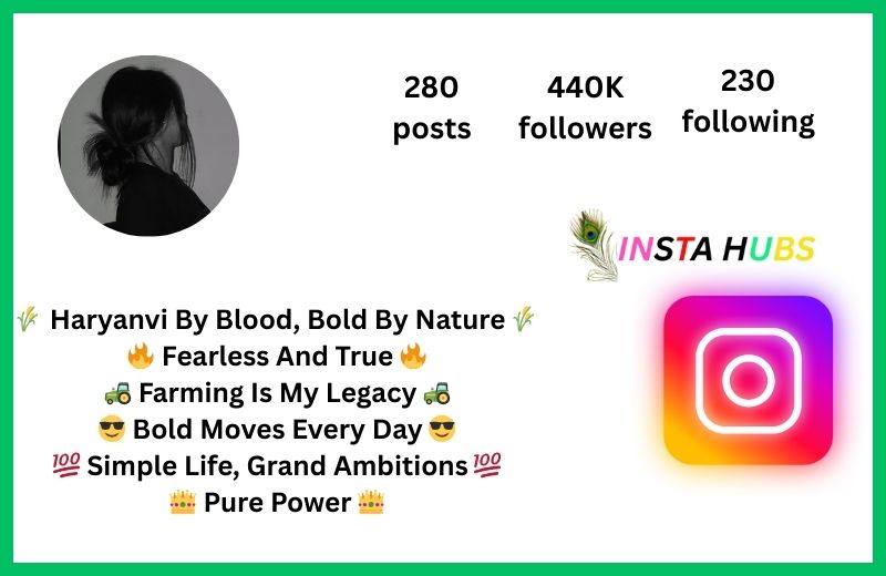 Instagram Bio for Haryana Boys in Stylish Font