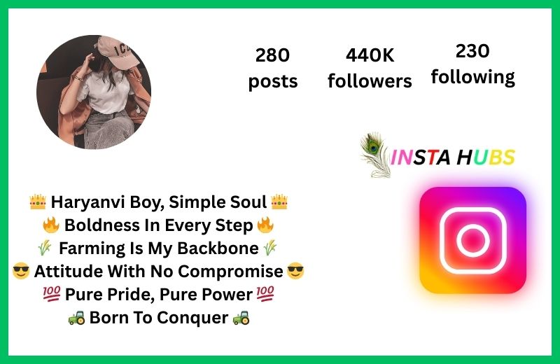 {175+} Best Instagram Bio For Haryanvi Boys & Girl (Copy Paste)