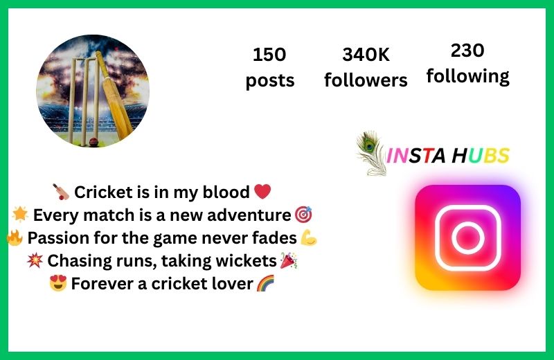 Instagram Bio For Cricket Lovers