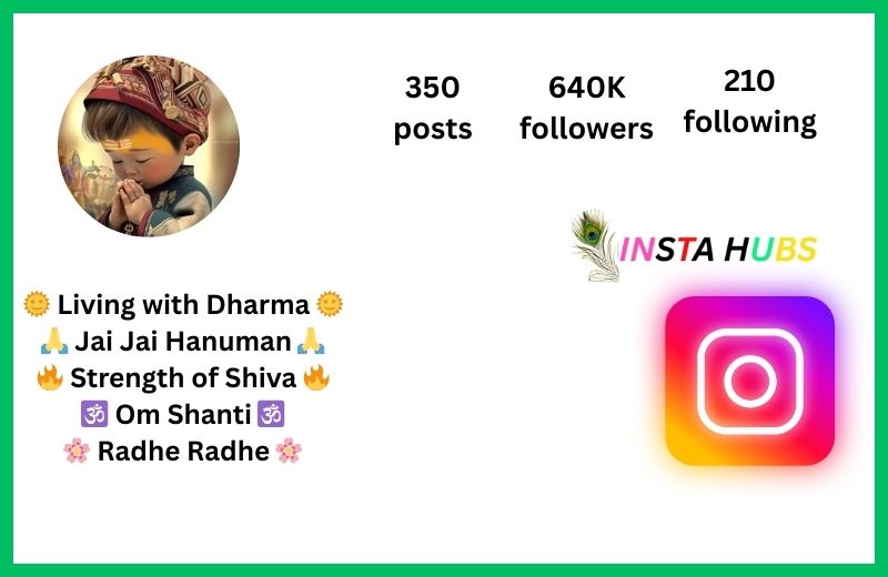 Instagram Bio For Hindu Boy