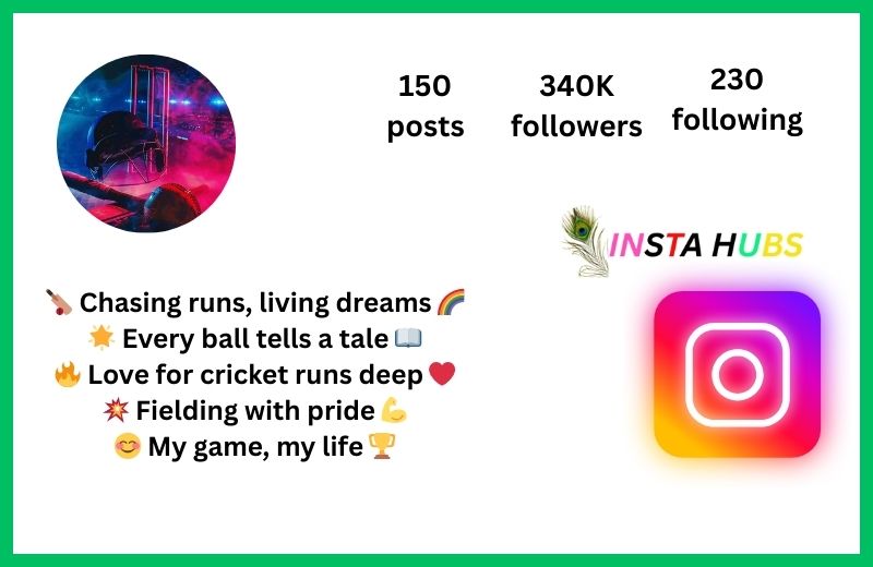 Instagram Bio For Cricket Lover Boy