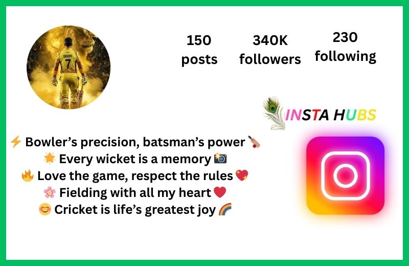 Instagram Bio For Cricket Lover Girl