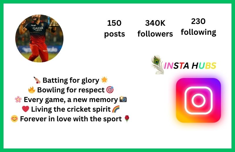 Instagram Bio For Cricket Lovers Stylish Font