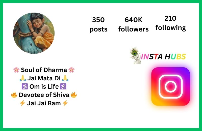 Hindu Bio For Instagram In Hindi