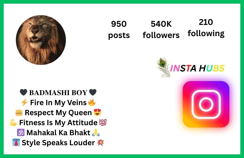 200+Best Instagram Bio For Boys| लड़कों के लिए बेहतरीन इंस्टाग्राम बायो