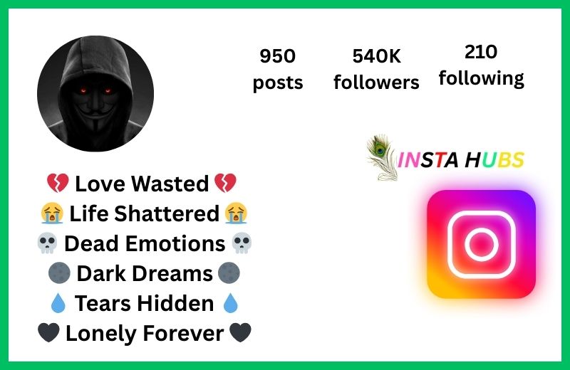 Instagram Bio Font Style for Boy Attitude