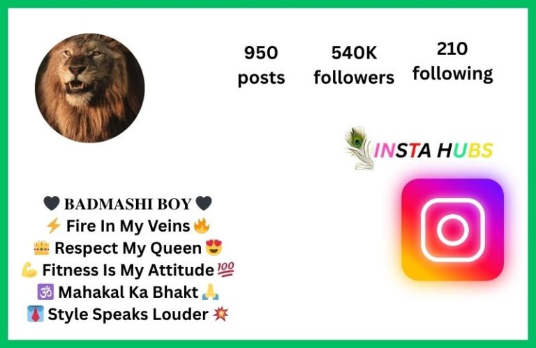 200+Best Instagram Bio For Boys| लड़कों के लिए बेहतरीन इंस्टाग्राम बायो